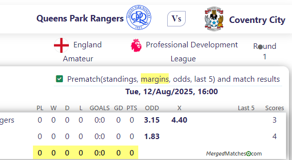 Queens Park Rangers Vs Coventry City screenshot