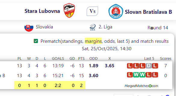 Stara Lubovna Vs Slovan Bratislava B screenshot