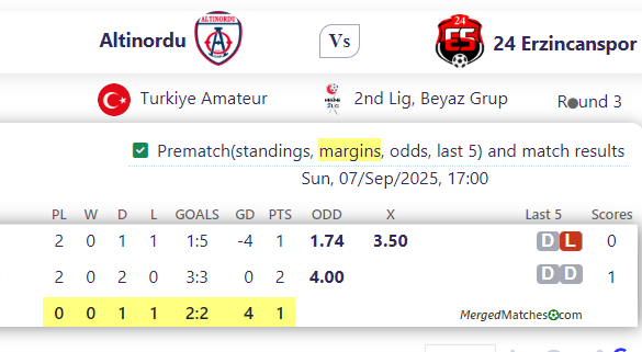 Altinordu Vs 24 Erzincanspor screenshot