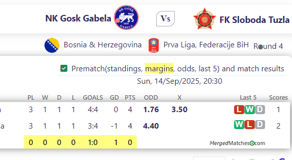 NK Gosk Gabela Vs FK Sloboda Tuzla screenshot