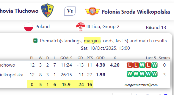 Gzs Tluchovia Tluchowo Vs Polonia Sroda Wielkopolska screenshot