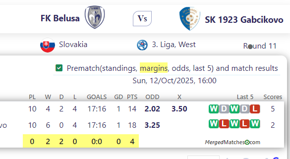 FK Belusa Vs SK 1923 Gabcikovo screenshot