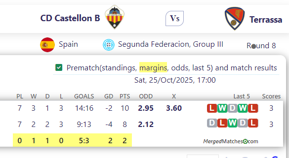 CD Castellon B Vs Terrassa screenshot
