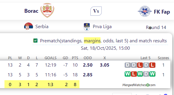 Borac Vs FK Fap screenshot