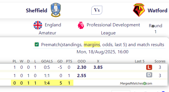 Sheffield Vs Watford screenshot
