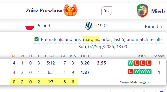 Znicz Pruszkow Vs Miedz screenshot