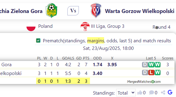 KS Lechia Zielona Gora Vs Warta Gorzow Wielkopolski screenshot