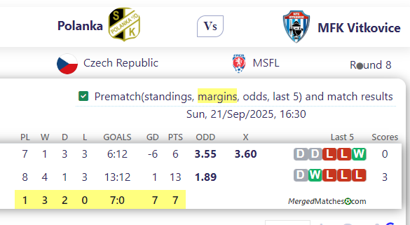 Polanka Vs MFK Vitkovice screenshot