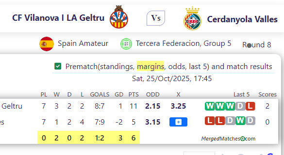 CF Vilanova I LA Geltru Vs Cerdanyola Valles screenshot
