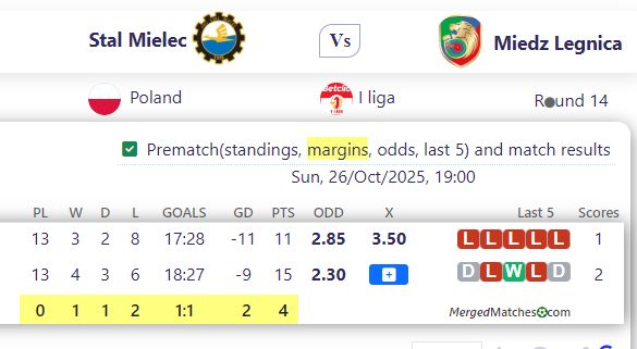 Stal Mielec Vs Miedz Legnica screenshot