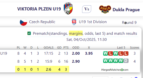 VIKTORIA PLZEN U19 Vs Dukla Prague screenshot