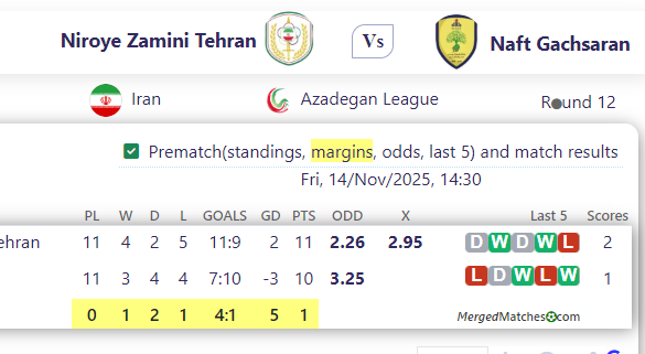 Niroye Zamini Tehran Vs Naft Gachsaran screenshot