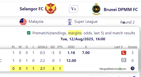 Selangor FC Vs Brunei DPMM FC screenshot