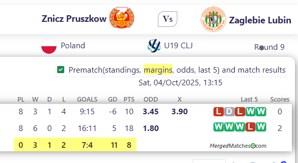 Znicz Pruszkow Vs Zaglebie Lubin screenshot