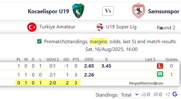 Kocaelispor U19 Vs Samsunspor screenshot