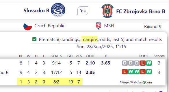 Slovacko B Vs FC Zbrojovka Brno B screenshot