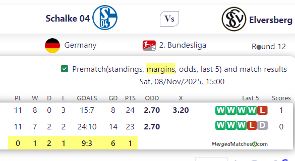 Schalke 04 Vs Elversberg screenshot
