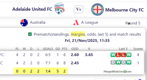 Adelaide United FC Vs Melbourne City FC screenshot