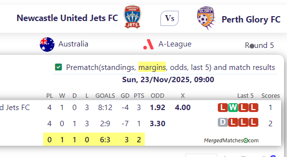 Newcastle United Jets FC Vs Perth Glory FC screenshot