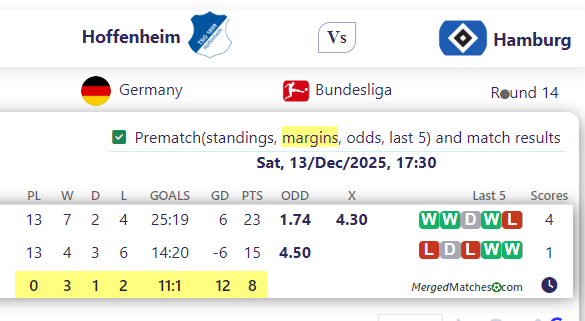 Hoffenheim Vs Hamburg screenshot