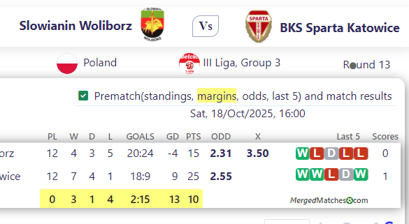 Slowianin Woliborz Vs BKS Sparta Katowice screenshot