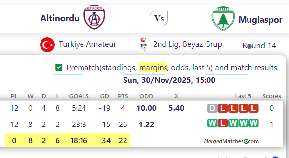 Altinordu Vs Muglaspor screenshot