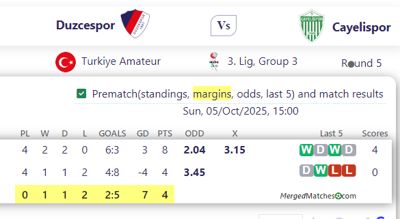Duzcespor Vs Cayelispor screenshot