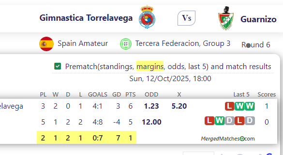 Gimnastica Torrelavega Vs Guarnizo screenshot
