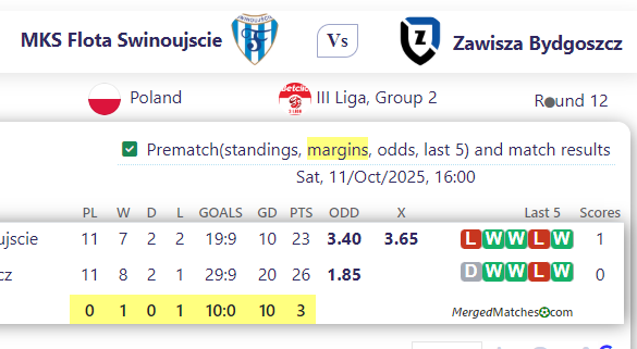 MKS Flota Swinoujscie Vs Zawisza Bydgoszcz screenshot
