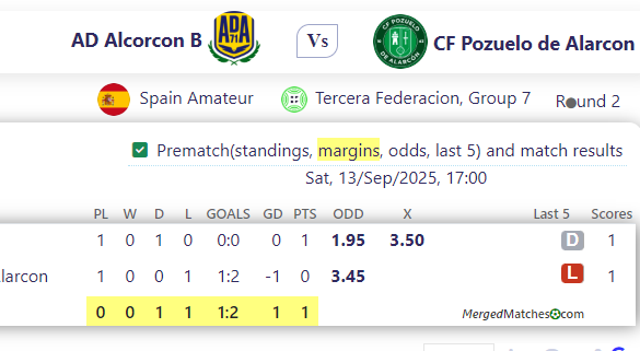 AD Alcorcon B Vs CF Pozuelo de Alarcon screenshot