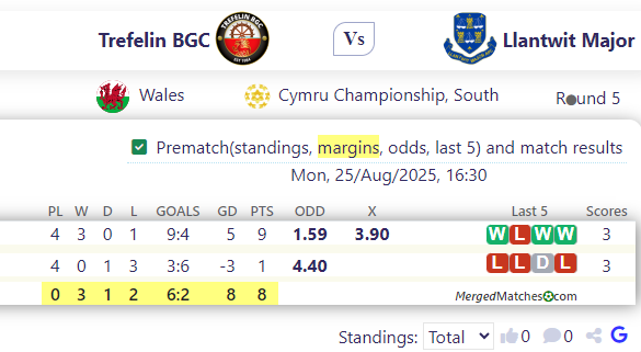Trefelin BGC Vs Llantwit Major screenshot