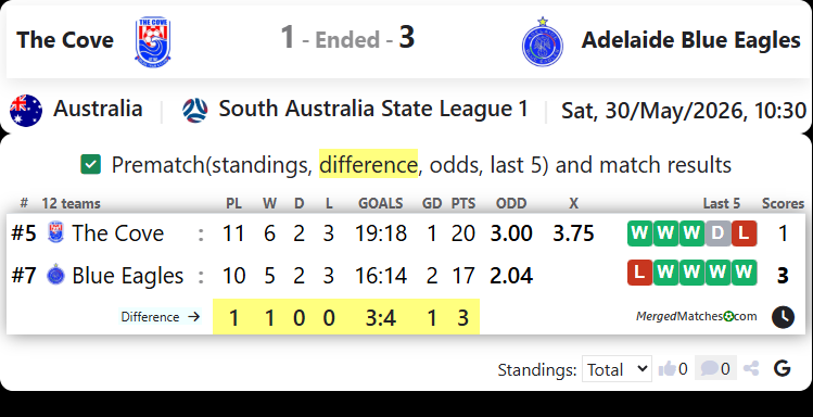 The Cove FC Vs Adelaide Blue Eagles screenshot