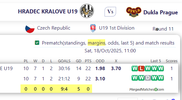 HRADEC KRALOVE U19 Vs Dukla Prague screenshot