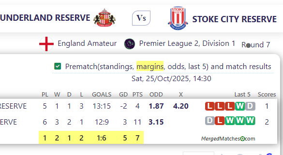 SUNDERLAND RESERVE Vs STOKE CITY RESERVE screenshot