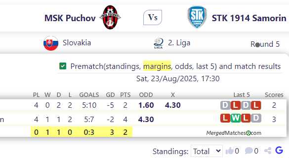 MSK Puchov Vs STK 1914 Samorin screenshot