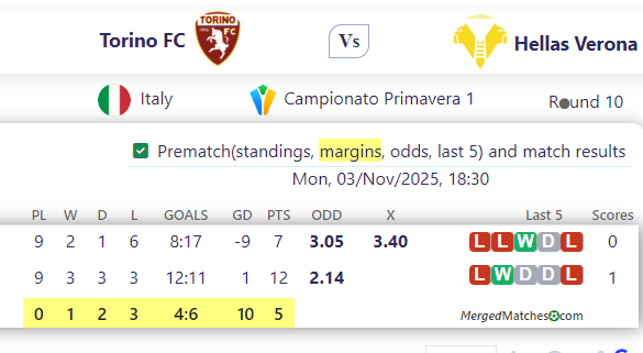 Torino FC Vs Hellas Verona screenshot