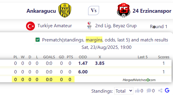 Ankaragucu Vs 24 Erzincanspor screenshot