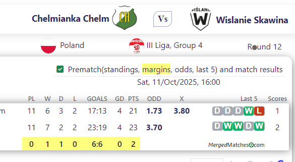 Chelmianka Chelm Vs Wislanie Skawina screenshot