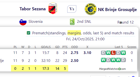 Tabor Sezana Vs NK Brinje Grosuplje screenshot