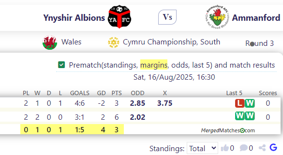 Ynyshir Albions Vs Ammanford screenshot