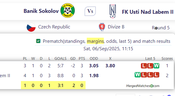 Banik Sokolov Vs FK Usti Nad Labem II screenshot