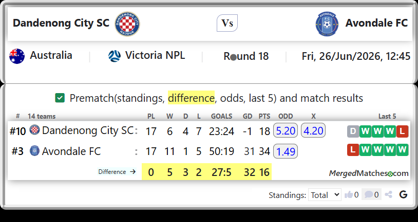 Dandenong City SC Vs Avondale FC screenshot