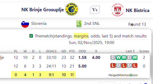 NK Brinje Grosuplje Vs NK Bistrica screenshot