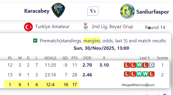 Karacabey Vs Sanliurfaspor screenshot