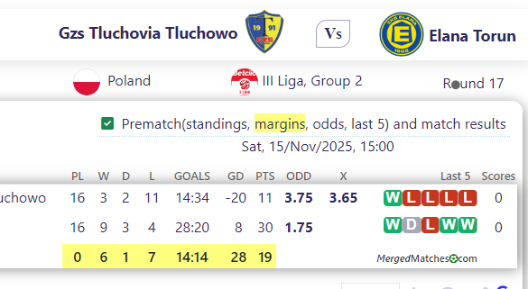 Gzs Tluchovia Tluchowo Vs Elana Torun screenshot