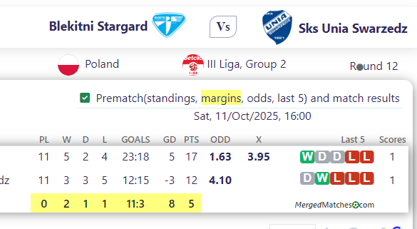 Blekitni Stargard Vs Sks Unia Swarzedz screenshot