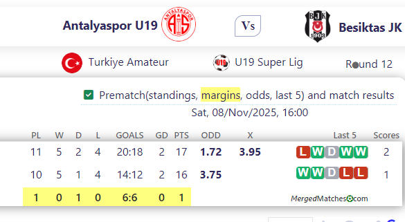 Antalyaspor U19 Vs Besiktas JK screenshot