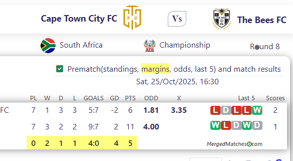 Cape Town City FC Vs The Bees FC screenshot