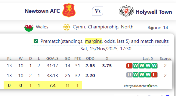 Newtown AFC Vs Holywell Town screenshot