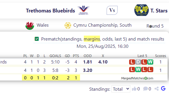 Trethomas Bluebirds Vs T. Stars screenshot